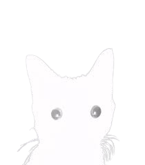 him.